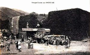 Amouchas - Pres de Setif - Battages Couster